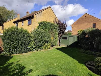 Picture 20